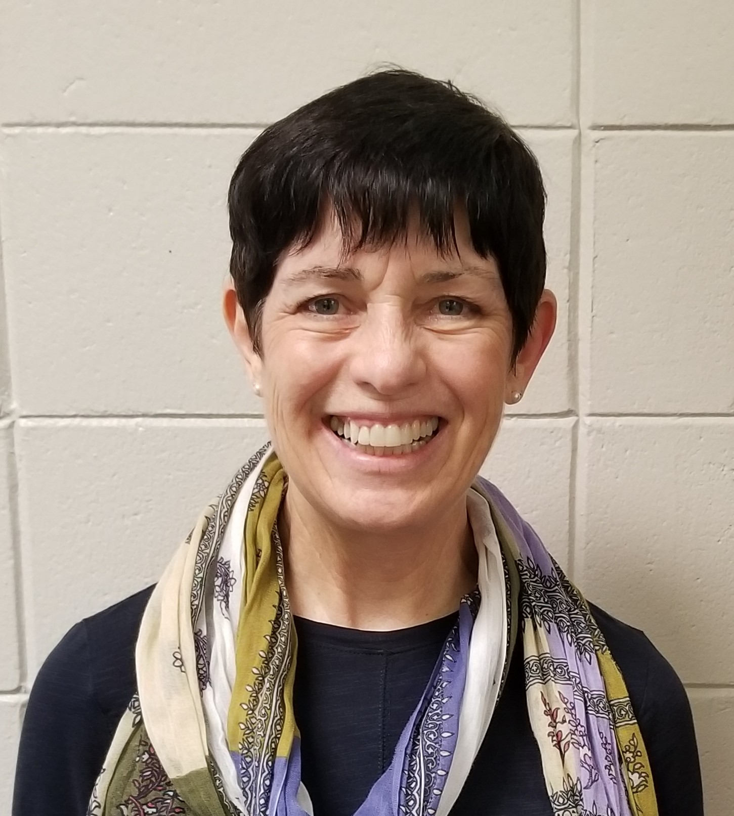 Toni Hollingsworth, MS Hearing-Vision Project